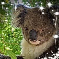 Cheryl Thompson Monkhouse