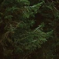 Roman Gadzhimuradivich Gadzhimuradov