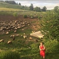 Becirovic Ana Marija