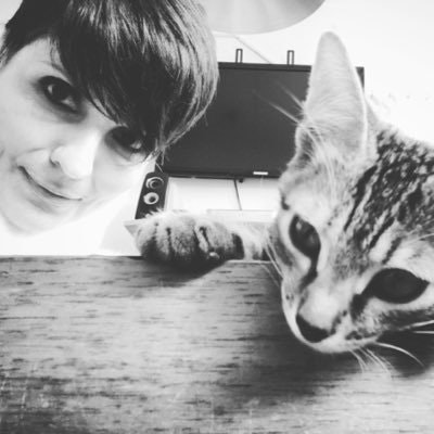 gatos ilimitados™️️ by Adriana Gasperi