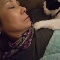 Sandy Ratcliffe Freschi