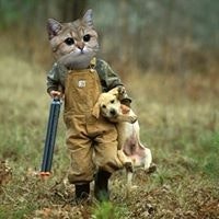 Андрей Иванов