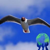 Андрей Ищенко