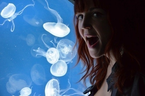 Liz - I Spy Plum Pie