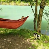 Костић Алекса