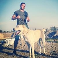 დევსურაშვილი ანანია