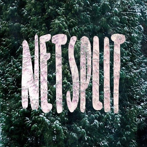 NETSPLIT