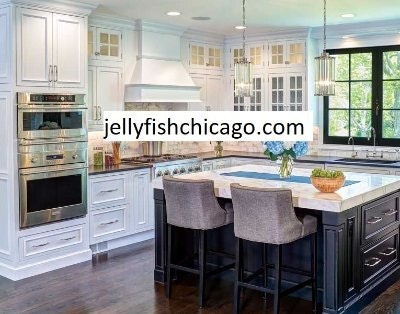 Jellyfishchicago.com