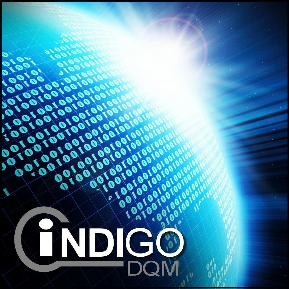 Indigo DQM
