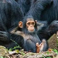 Évëryøñè Kñöws