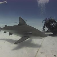 Juan Manuel Pereyra Murray