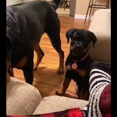 ~ bwunny ~ Happy oras back!