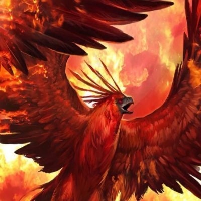 Dũng Nguyễn Hoàng