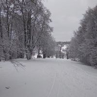 Джамиля Джамиля