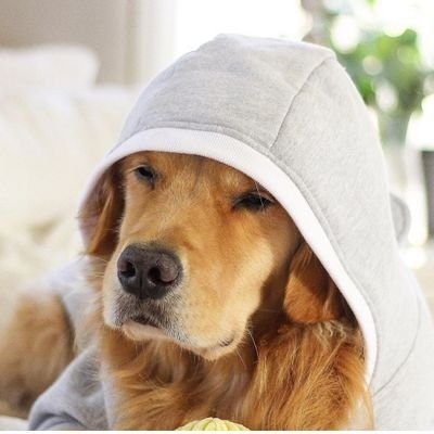 🌷cryptoholics rico#❤️❤️❤️