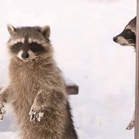 Ртерфгхдф Дгхдг