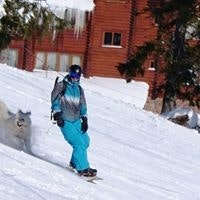 Виталий Гощенко