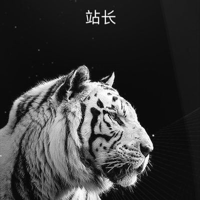 Leifeng dappreview.com