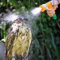 Daniel Kołodziejczyk