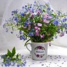 CryptoDaughterOfMay1