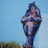 Բորիս Վարդանյան