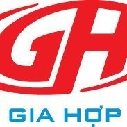 Visa Gia hợp