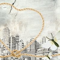 Ivana Rajković Pavlić