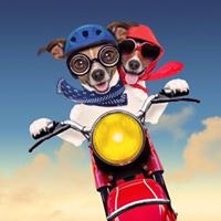 Булат Камалов