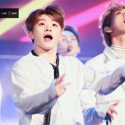 [17's] 앙기아🌸