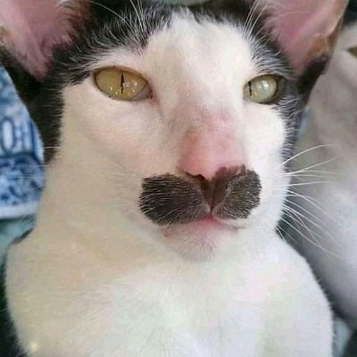 Crypto lover#❤❤❤