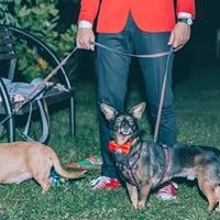 Kaloczki Norbert-Attila