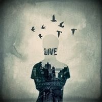 Mahmoud A. Abu Shawish