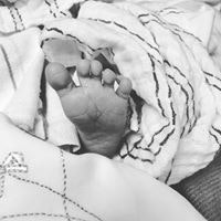 Burcu S. Bakioglu-Clift