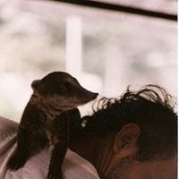 Sebastián González Vildoso