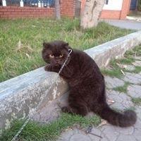 Lê Đình Khôi Nguyên