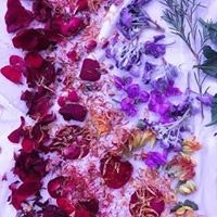 Таня Савчук