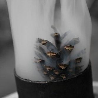 хуйня из-под коня