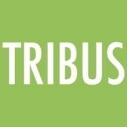 TRIBUS