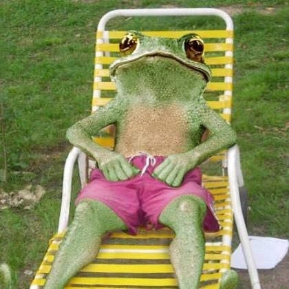 Frog Autistic 🐸🧩