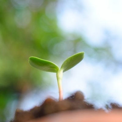 ふたふた（ぶたばちゃんねるログサイト）