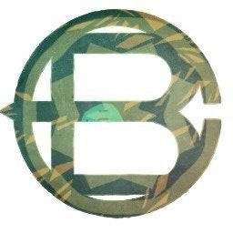 BeatChronic.com