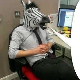 Mr Steve Fitzpatrick