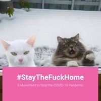 Николай Владимирович Грудинин