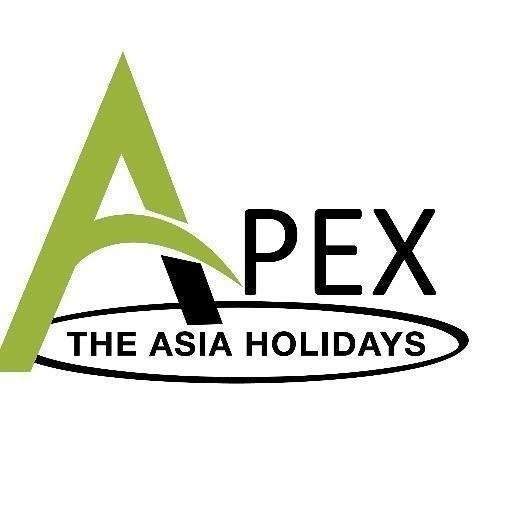 Apex the Holidays