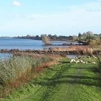 Ljubinka Damjanovska