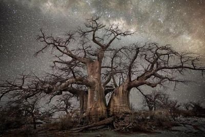 ☪️♓🅰️♏⛎🇿🇼Mutezva