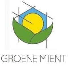 Groene Mient