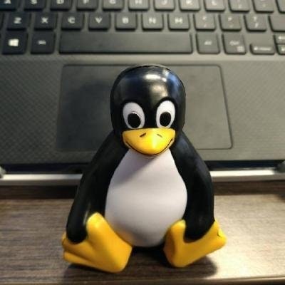 Felipe Jordão A.P Mattosinho