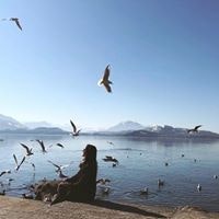 Юлия Ненадович