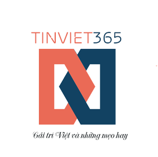 Tin Việt 365